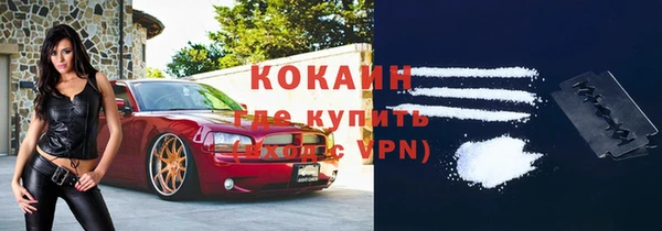 сатива Михайлов