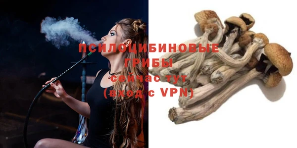 сатива Михайлов