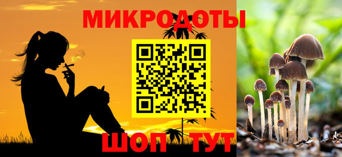 Галлюциногенные грибы Psilocybe  Псилоцибиновые грибы GOLDEN TEACHER  цены наркотик  Вход с VPN  Урюпинск 